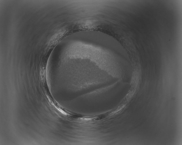 X0000085820624200703161224