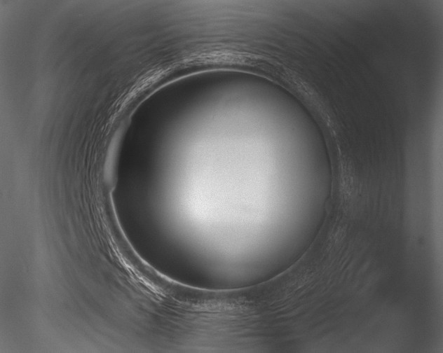 X0000085820625200703161223