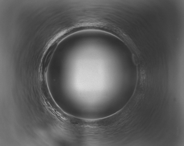 X0000085820628200703161223