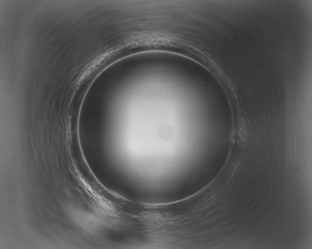 X0000085820629200703161223