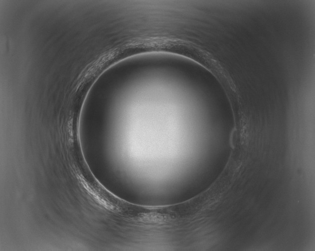 X0000085820633200703161223
