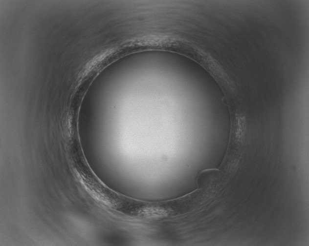 X0000085820636200703161223