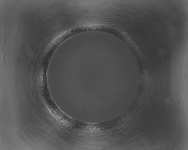 X0000085820640200703161224