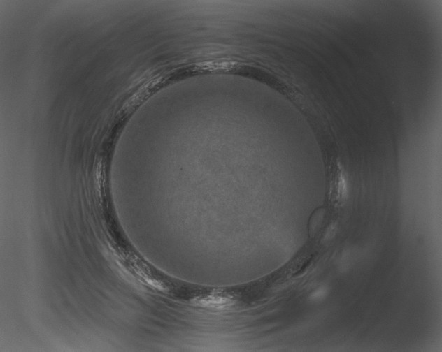 X0000085820647200703161224