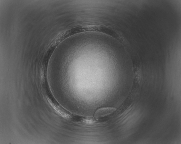 X0000085820662200703161224