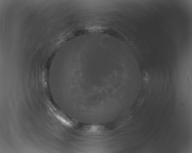 X0000085820663200703161224
