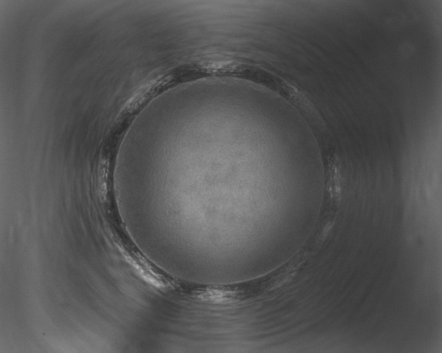 X0000085820664200703161224