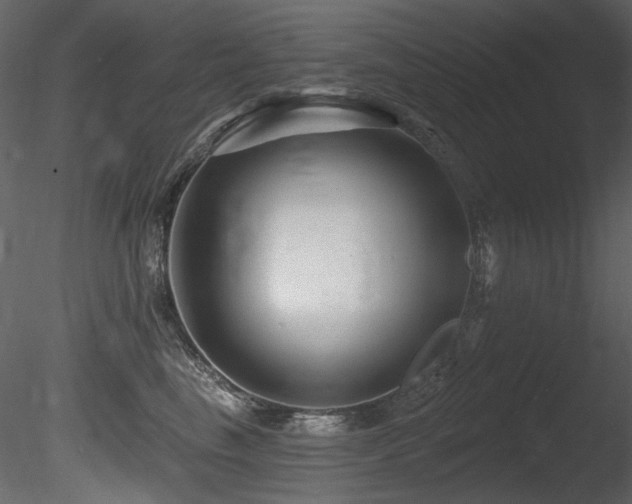 X0000085820665200703161224