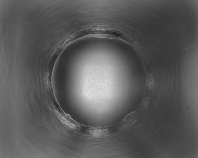 X0000085820670200703161224