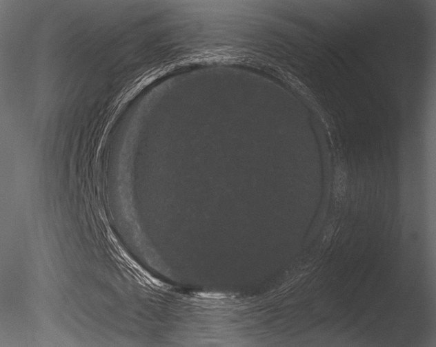 X0000085820673200703161223