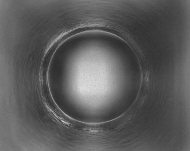 X0000085820676200703161223