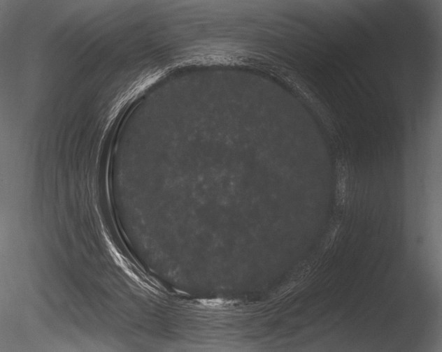 X0000085820677200703161223