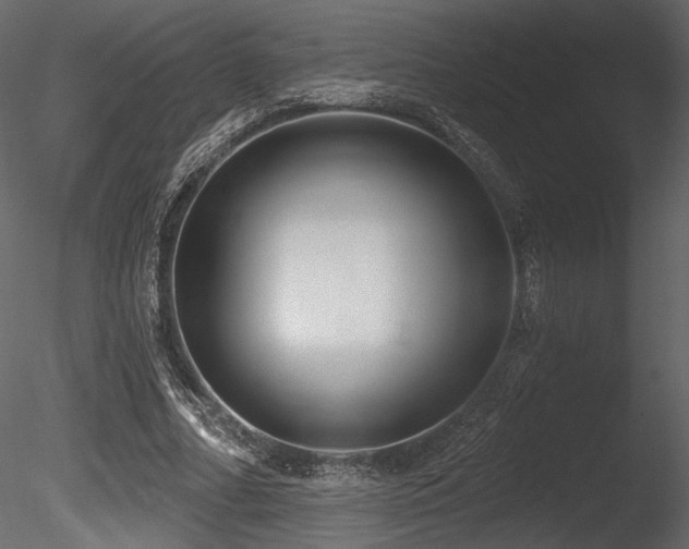 X0000085820682200703161223