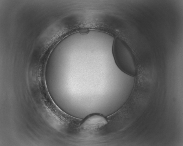 X0000085820683200703161223