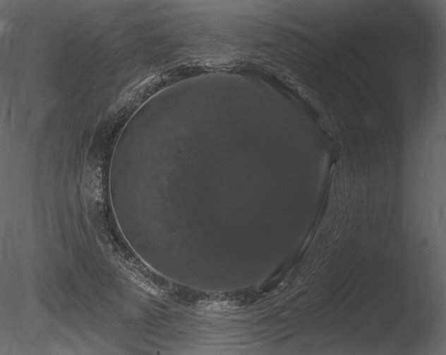 X0000085820689200703161223