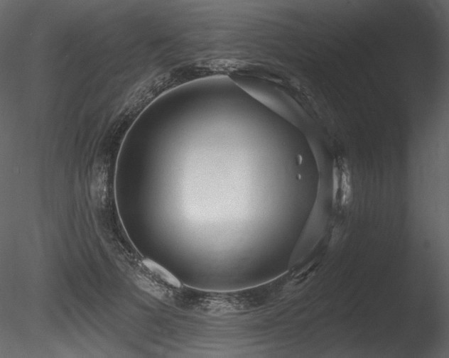 X0000085820697200703161223