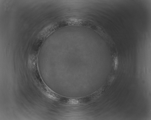 X0000085820701200703161223