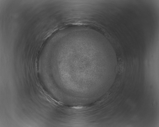 X0000085820704200703161223
