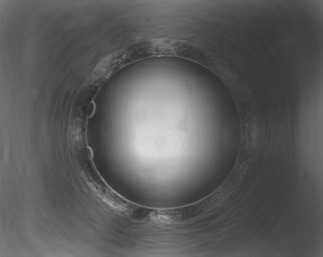 X0000085820706200703161223