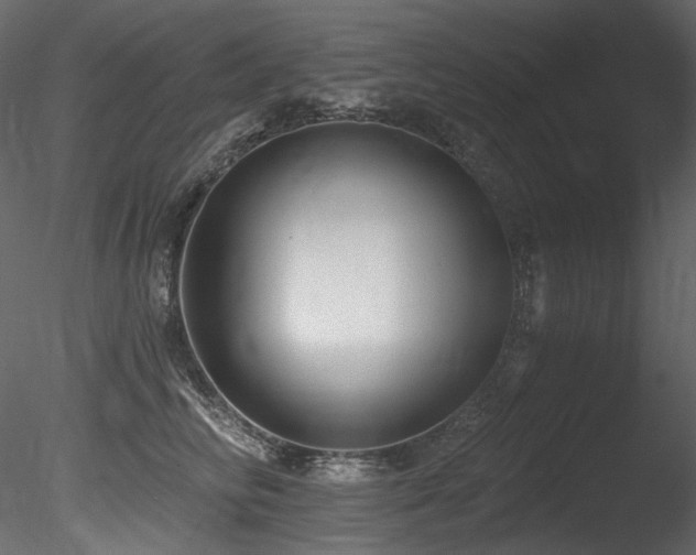 X0000085820710200703161223