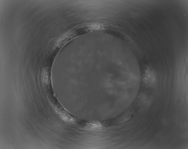 X0000085820715200703161223
