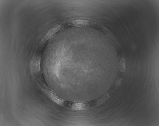 X0000085820717200703161222