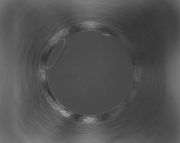 X0000085820718200703161222