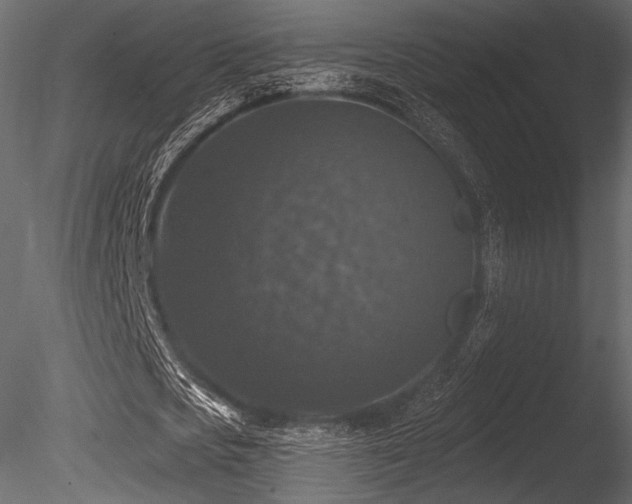 X0000085820721200703161222