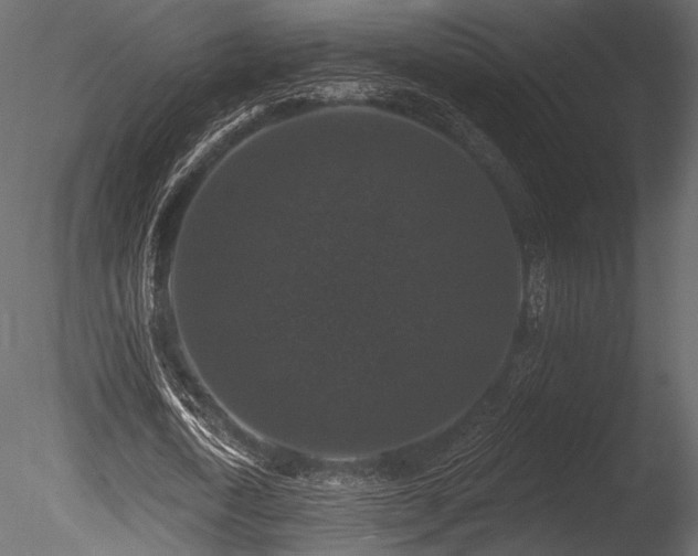 X0000085820722200703161222