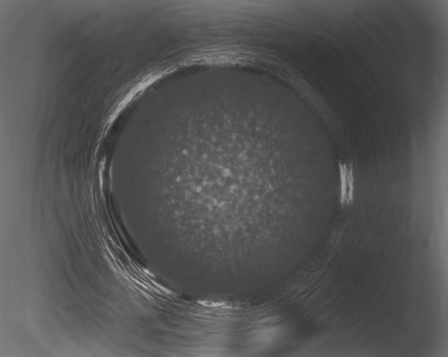 X0000085820723200703161222