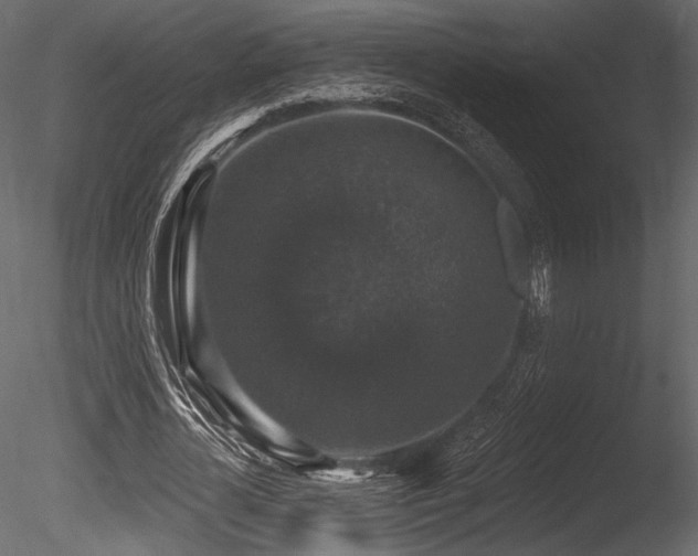 X0000085820724200703161222