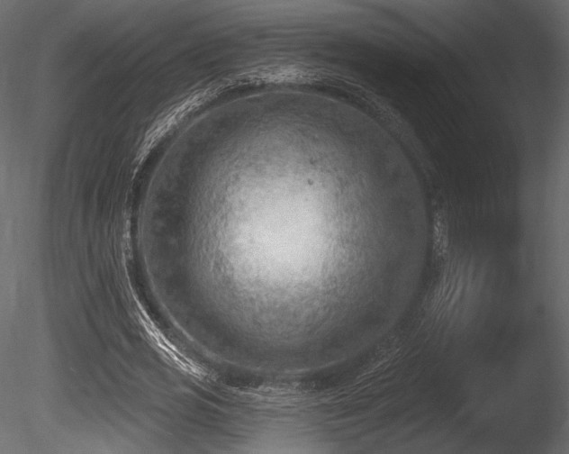 X0000085820725200703161222