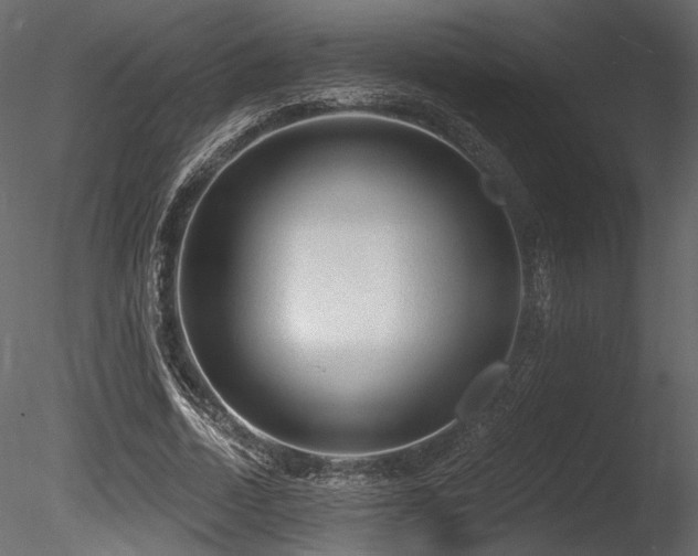 X0000085820730200703161222