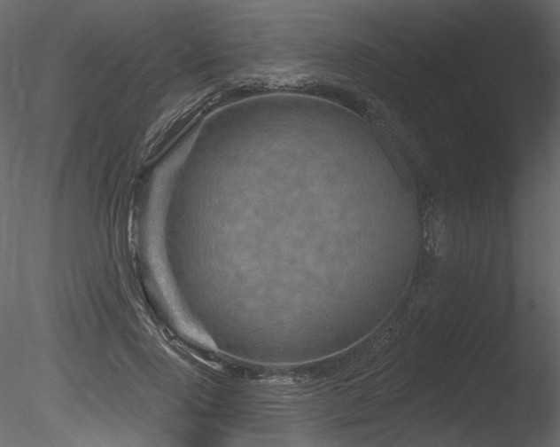 X0000085820740200703161222
