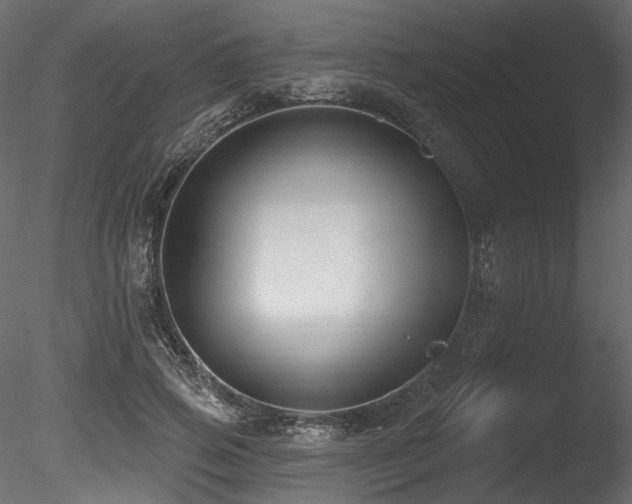 X0000085820741200703161222