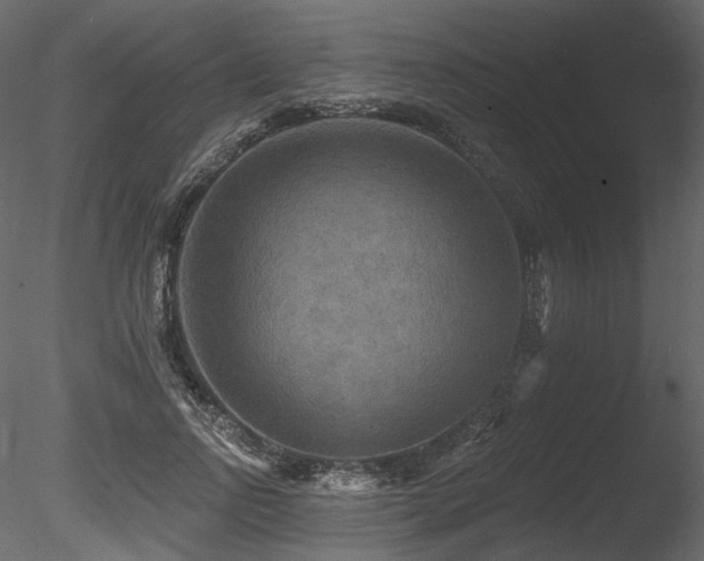 X0000085820742200703161222