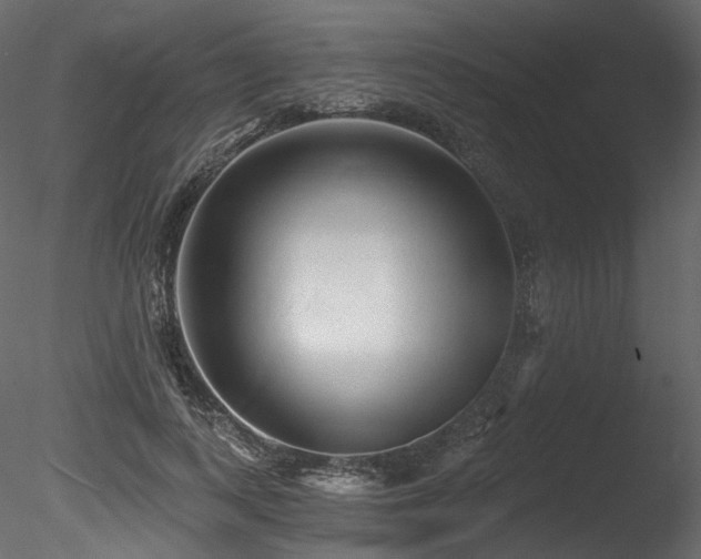 X0000085820743200703161222