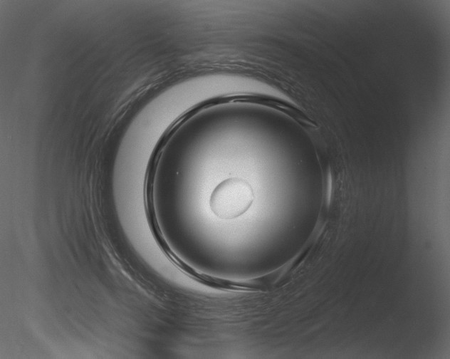 X0000085820744200703161222