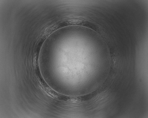X0000085820745200703161222