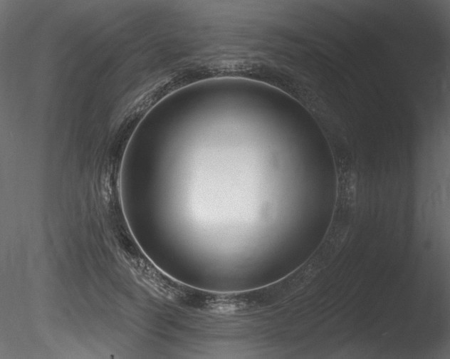 X0000085820746200703161222