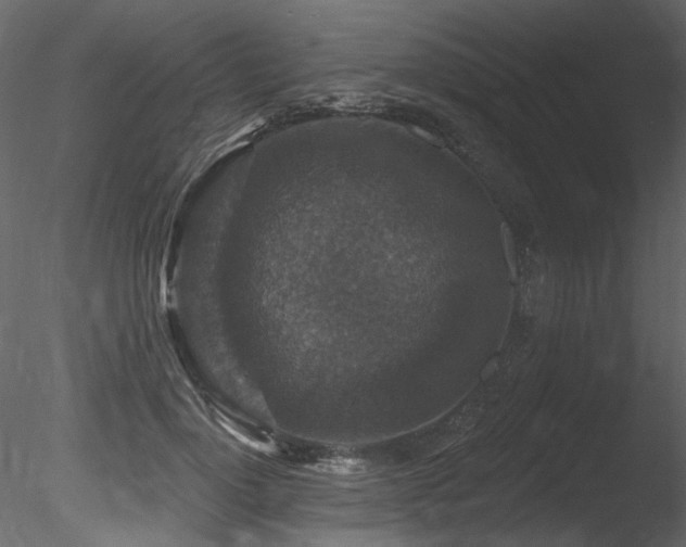 X0000085820748200703161222