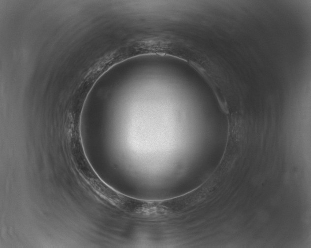 X0000085820752200703161222