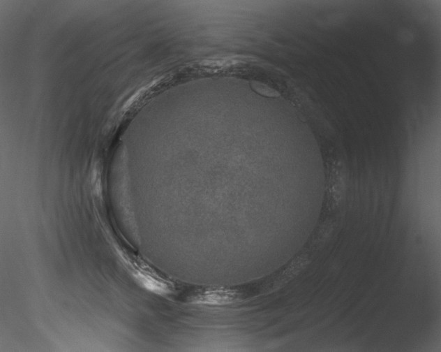 X0000085820758200703161222