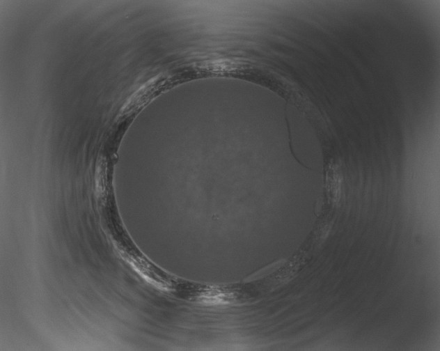 X0000085820760200703161222