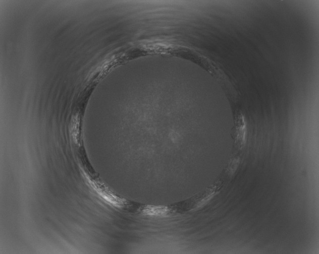 X0000085820767200703161222
