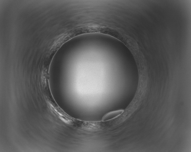 X0000085820768200703161222