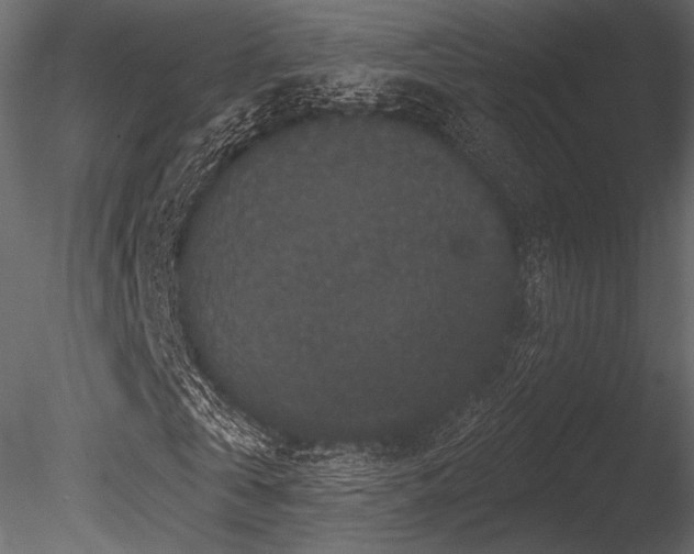 X0000085820769200703161222