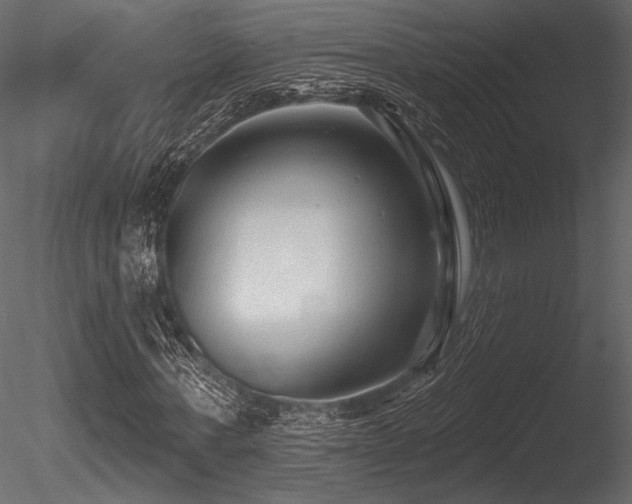 X0000085820771200703161222