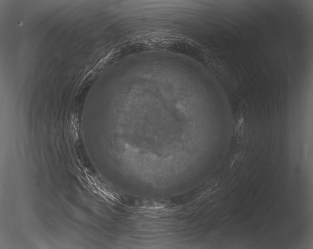 X0000085820772200703161222
