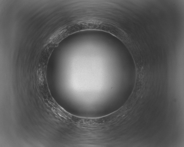 X0000085820774200703161221